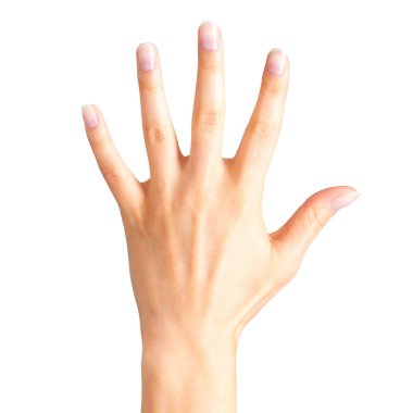 Beş parmak ve palm gösteren el