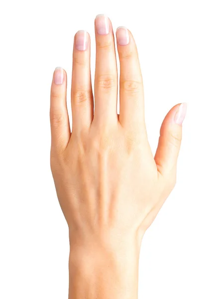 Female hand showing five fingers and palm — Stock Photo, Image