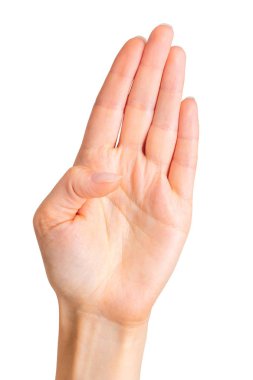 Beş parmak ve palm gösteren el