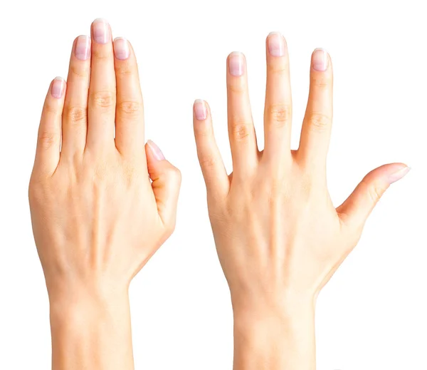 Набор женских рук, показывающих пять пальцев и ладонь — стоковое фото