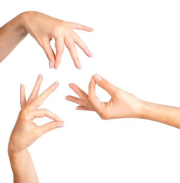 Set of woman hands showing mudra gesture or holding something. — Stock Photo, Image