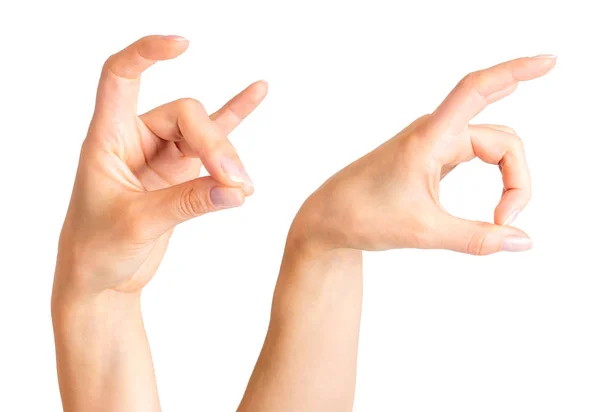 Uppsättning womens händer visar horn av djur eller ge djävulen horn gesten — Stockfoto