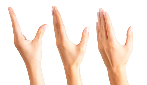Набор женских рук, берущих или показывающих что-то — стоковое фото