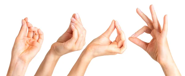 Uppsättning av kvinna händer som håller något med två fingrar — Stockfoto