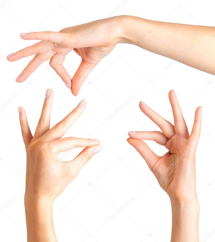 Set of woman hands showing mudra gesture or holding something.
