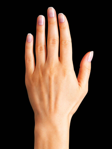 Female hand showing five fingers and palm