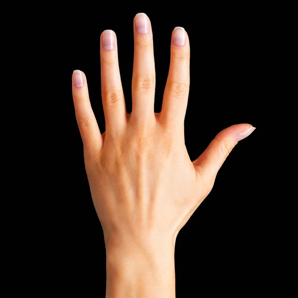 Mano femenina mostrando cinco dedos y palma — Foto de Stock