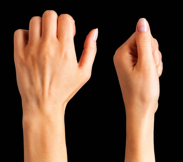 Conjunto de puño cerrado de mujer. Concepto de unidad, lucha o cooperación —  Fotos de Stock