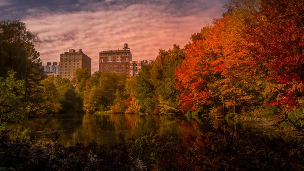 Manhattan'ın göbeğinde gün batımında