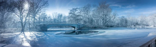 Prospect Park içinde bir kış günü