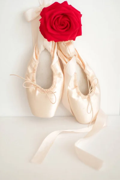     Balerinler gül rengi.