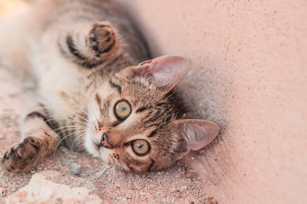 Küçük sohbetler, joueur 'a saygı göstermez. 