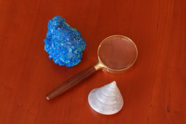 Masaya oturun. Böcek yuvası Marron Mort.