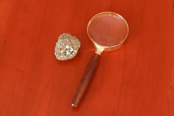 Masaya oturun. Böcek yuvası Marron Mort.