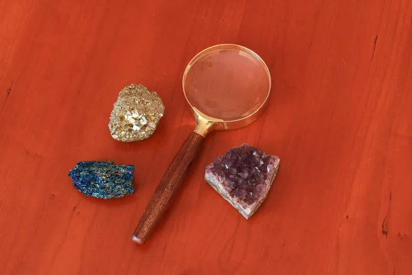 Masaya oturun. Böcek yuvası Marron Mort.