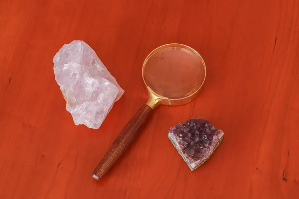 Masaya oturun. Böcek yuvası Marron Mort.