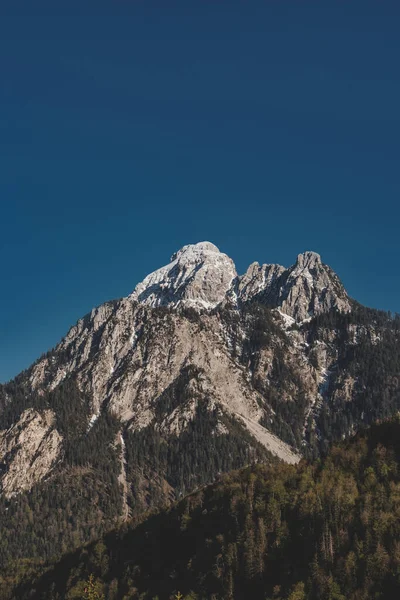 Rock mountain peak in snow on background of blue clear sky. Pine forest on foreground. Vertical wallpaper