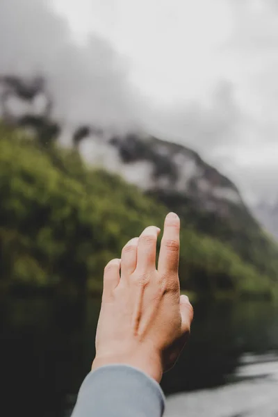 Nehrin arka planında avuç içi, yeşil orman, dağ ve gri bulutlar. Dikey duvar kağıdı