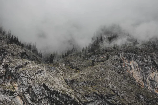 Kaya dağı, çamlarla kaplı gri bulutlarla.