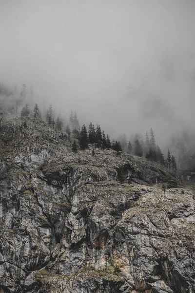 Gri bulutlarla kaplanmış çamlarla kaplı kaya dağı duvarı. Dikey duvar kağıdı