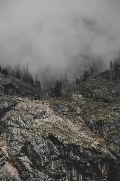 Kaya dağı duvarları ve çamlar gri bulutlarla sarılı. Dikey duvar kağıdı