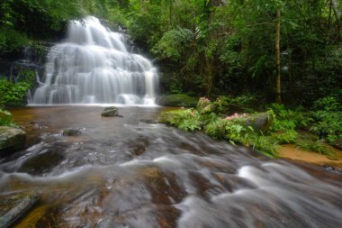 Adam Daeng şelale şelale içinde derin yağmur ormanları orman (adam Daeng şelale Kok Sathon, Dan Sai,: Loei, Thailand)