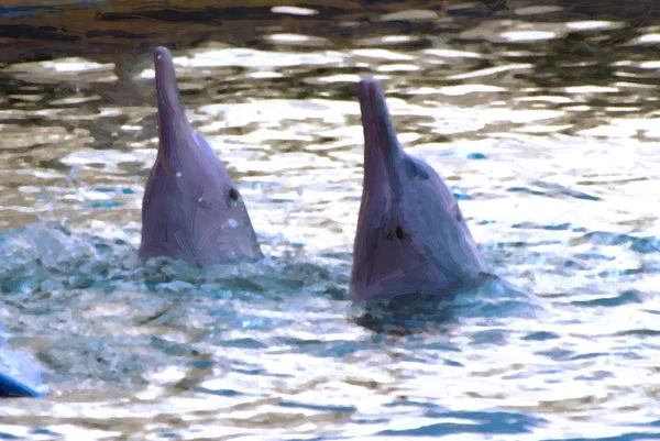Дельфины Бутылках Стиль Масляной Краски — стоковое фото