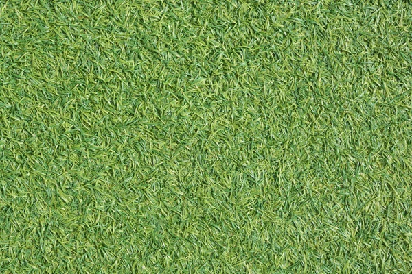 Artificial Green Grass Note Select Focus Shallow Depth Field — Stock Photo, Image