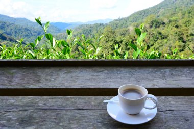 ahşap masa ve yeşil çay bud arka plan üzerinde sıcak kahve