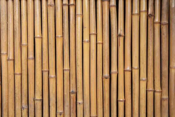 Tay Tarzında Bambu Duvar — Stok fotoğraf
