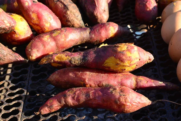 Batatas doces assadas na grelha do fogão — Fotografia de Stock