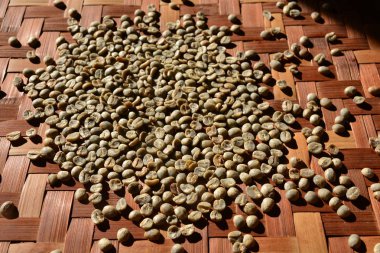 Yeşil kahve çekirdeği özü kavrulmuş kahve çekirdekleri geliyor