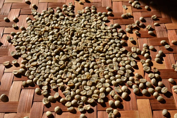 Yeşil kahve çekirdeği özü kavrulmuş kahve çekirdekleri geliyor