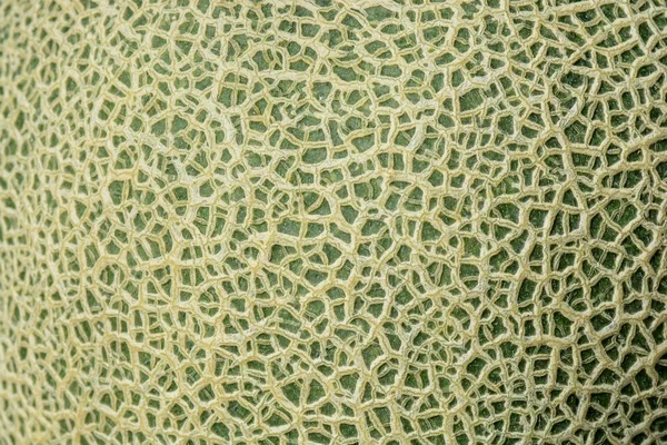 Närbild konsistens av cantaloupemelon — Stockfoto
