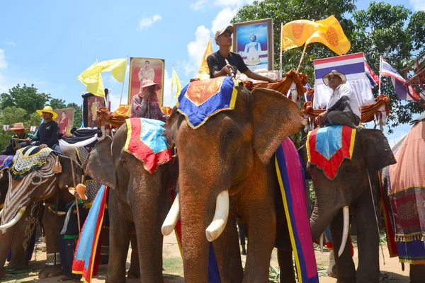 Ordinationsparade auf dem Elefantenrückenfest — Stockfoto