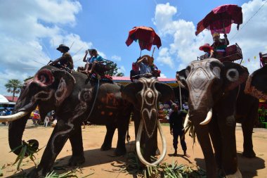 Fil Sırtı Festivali Düzenleme Yürüyüşü