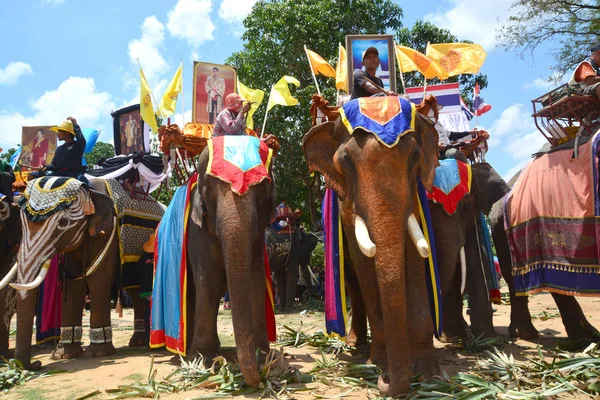 Ordination Parade on Elephant���s Back Festival — Stock Photo, Image