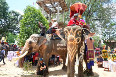 Fil Sırtı Festivali Düzenleme Yürüyüşü