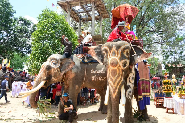 Fil Sırtı Festivali Düzenleme Yürüyüşü