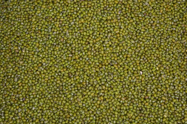 Green Soya, Green bean or mung bean background