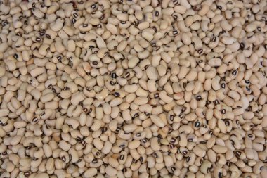 Navy Bean doku Closeup ve Üst görünüm çekim, gıda arka plan