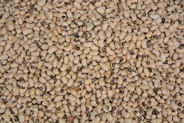 Крупный план и вид сверху на текстуру фасоли, продовольственный фон — стоковое фото