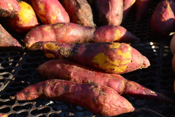 Batatas doces assadas na grelha do fogão — Fotografia de Stock