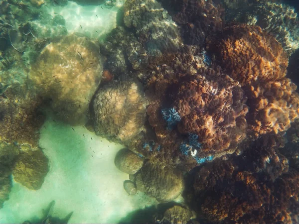 Plongée en apnée dans la mer d'andaman, Thaïlande — Photo