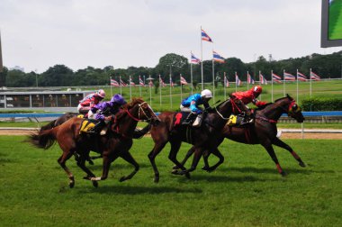 Royal Patronage altında Tayland Royal Turf Club Atmosferat yarışı son gün