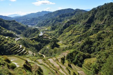 Teraslarda Pirinç Tarlaları olan Dağ Vadisi, sulanan (Ifugao, Banaue, Filipinler).