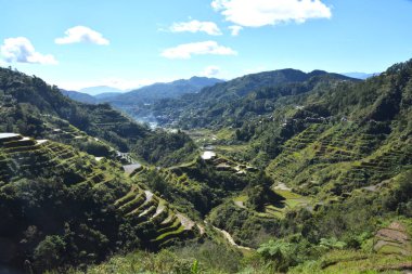 Teraslarda Pirinç Tarlaları olan Dağ Vadisi, sulanan (Ifugao, Banaue, Filipinler).