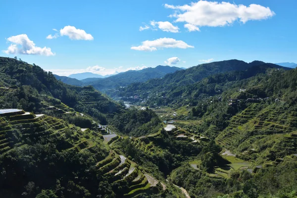 Teraslarda Pirinç Tarlaları olan Dağ Vadisi, sulanan (Ifugao, Banaue, Filipinler).