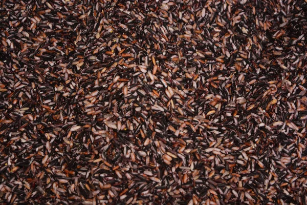 Delikatny Fokus Aromatic Black Rice Lub Rice Berry Uwaga Wybrać — Zdjęcie stockowe