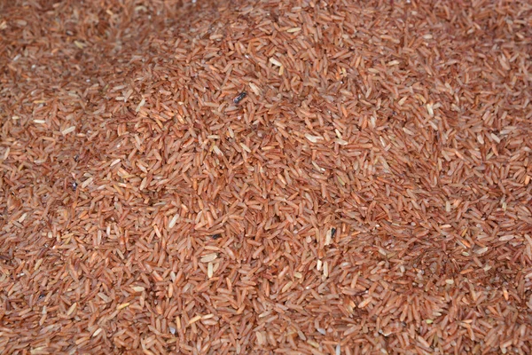 Ясмин Коричневый Рисовый Фон — стоковое фото